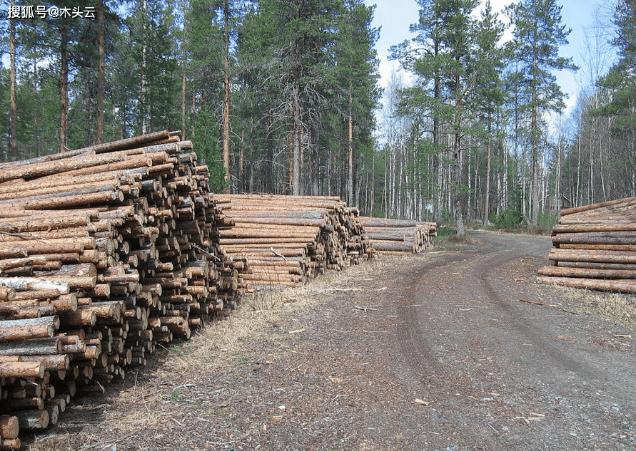 与中国木材贸易连续下滑芬兰锯材出口重心要开始转移？kb体育(图1)