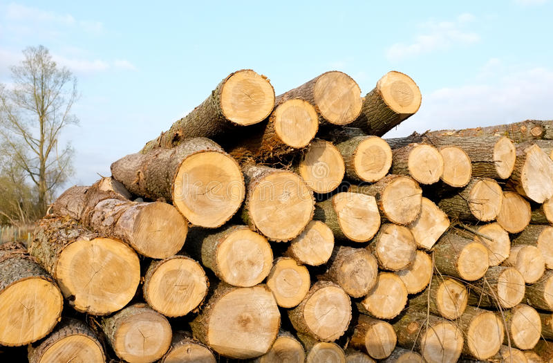 木材资源开始紧缺原材料价格持续飙升kb体育